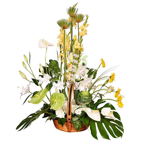 Flowering