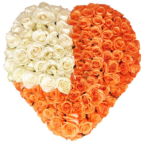 Heart - Warm roses