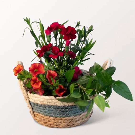 Basket BlÃ¼tengruÃŸ