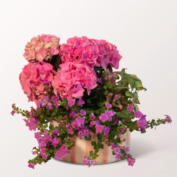 A Cheerful Summer Medley
