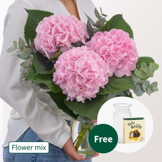Light Pink Hydrangea with Eucalyptus with Halloren Balls & vase