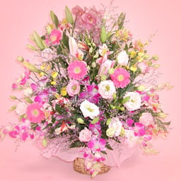 Arrangement of ultra-luxurious orchid
