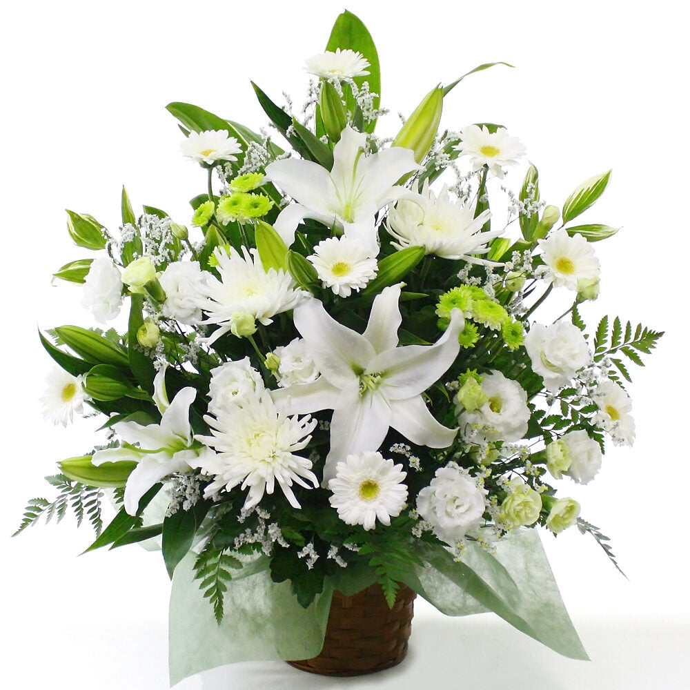 Offering Arrangement Condense