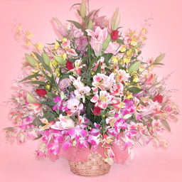 Gorgeous orchid arrangements