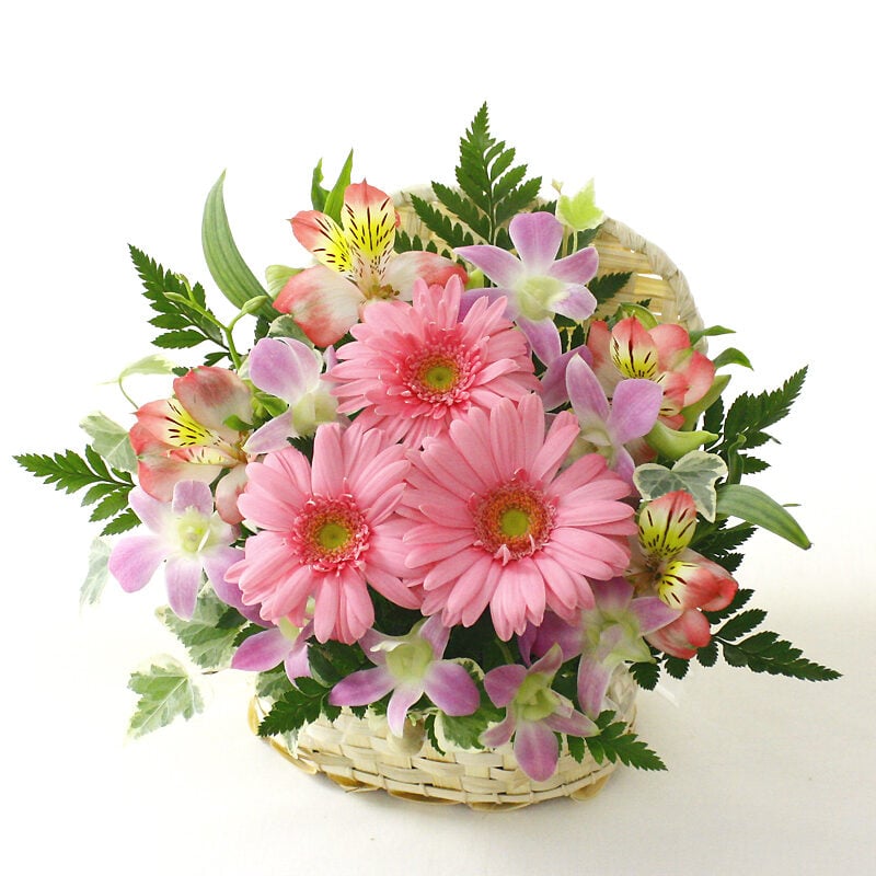 White basket pink