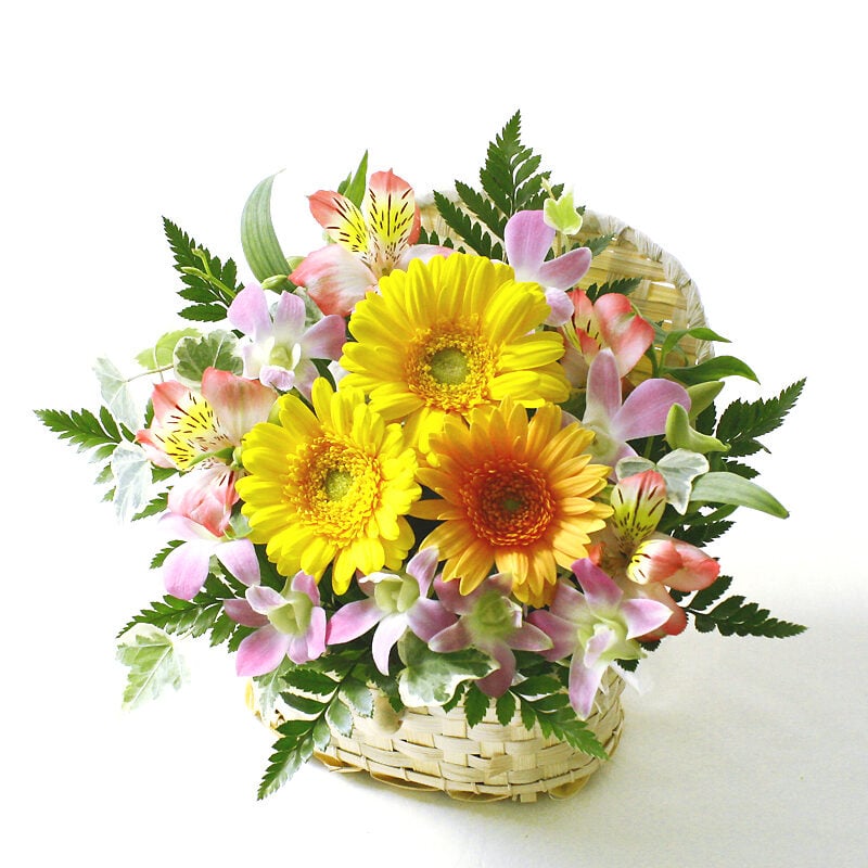 White Basket Warm Colors