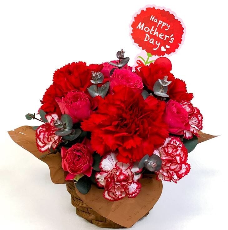 Arrangement Merci [Flowers for Mother's Day]
