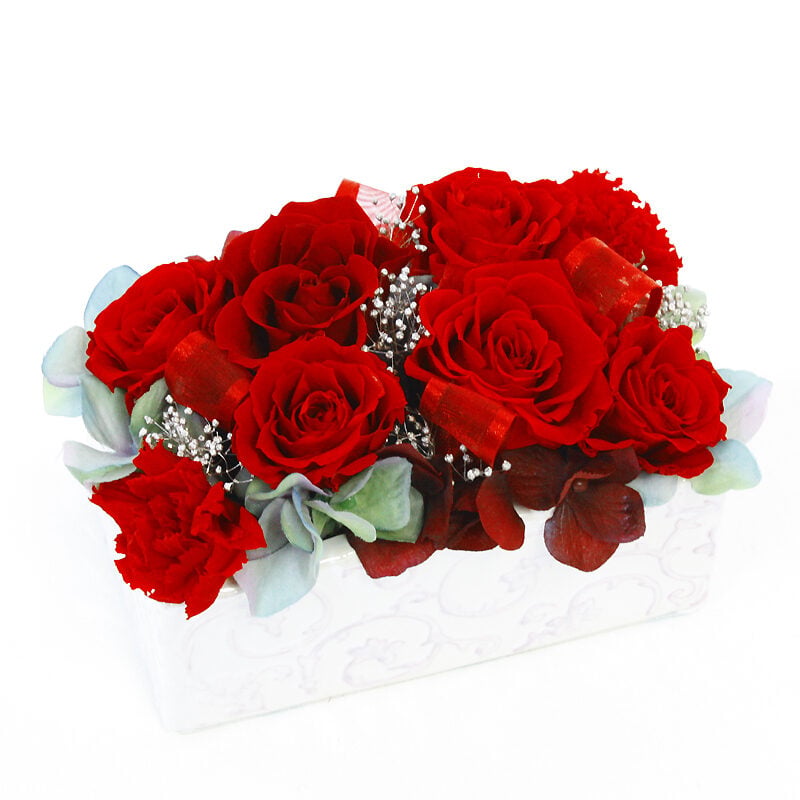 Preserved Arrange Tantation