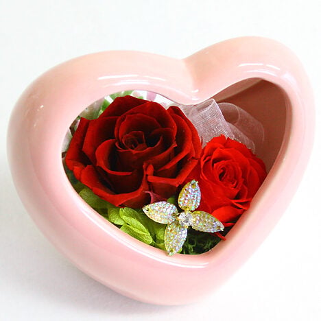 Preserved Arrange Eliza
