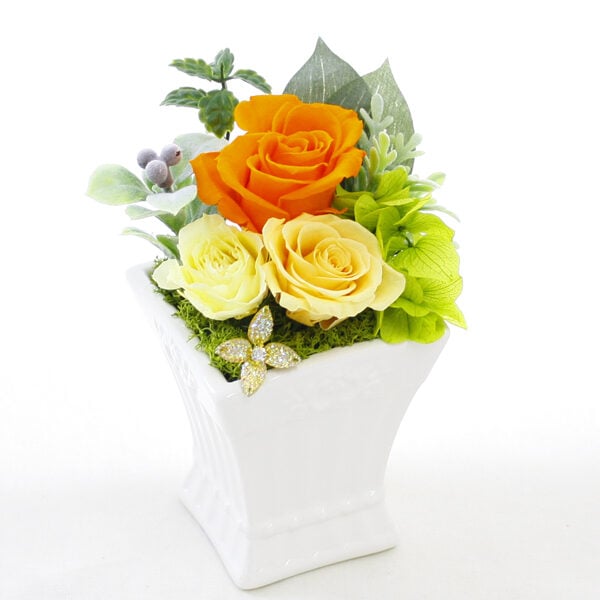Preserved Arrange Mamel Orange