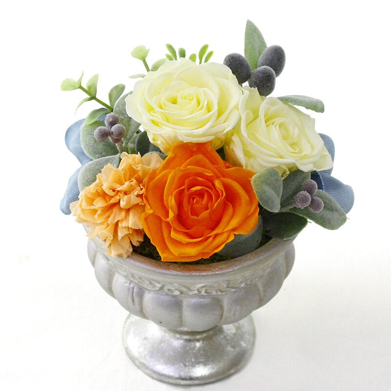 Preserved Arrange Amitie