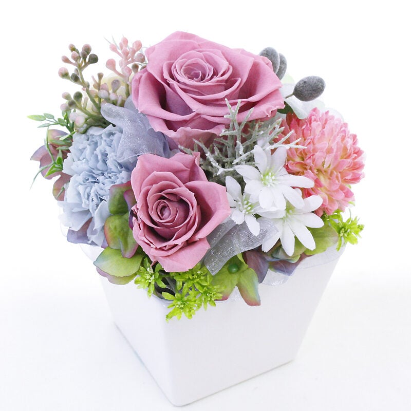 Preserved Arrange Jeunesse