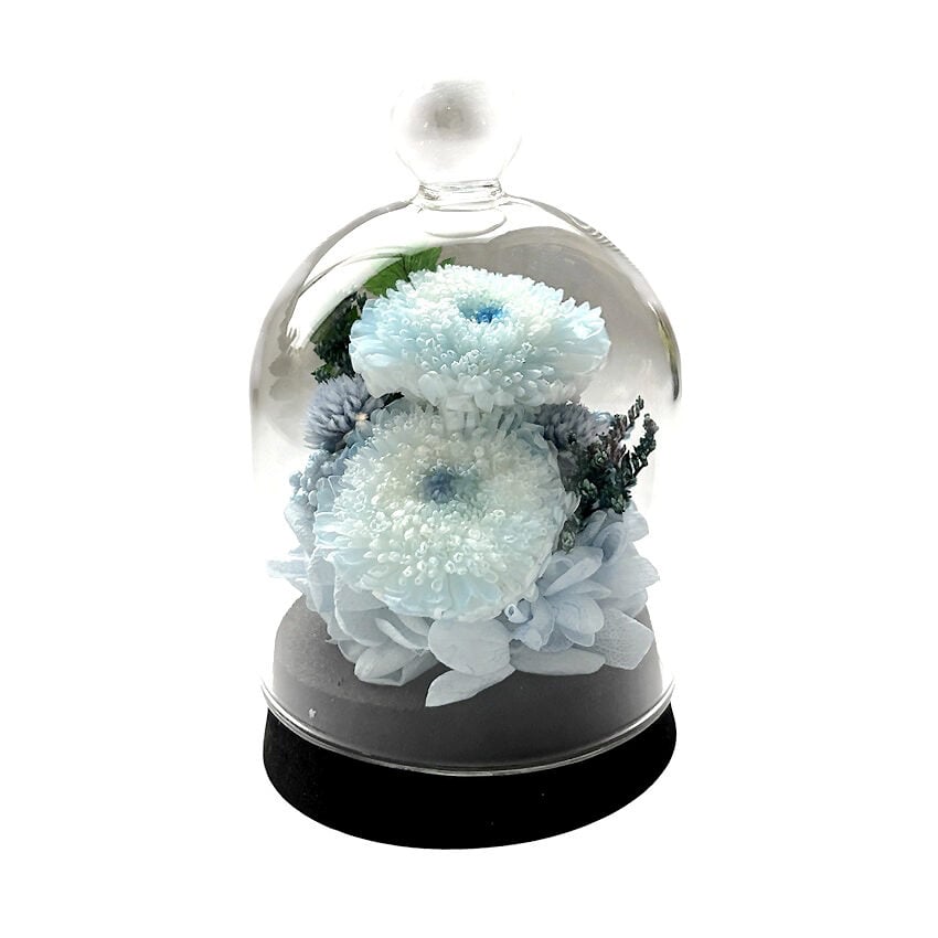 Preserved Arrangement Merveille Pastel
