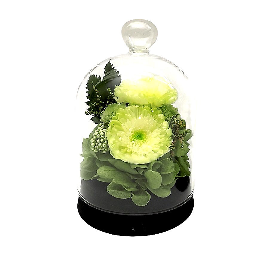 Preserved Arrangement Merveille Veil