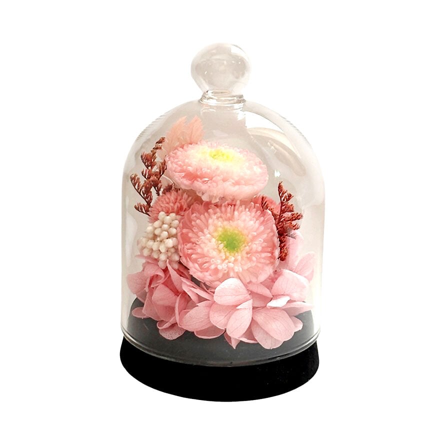 Preserved Arrangement Merveille Pink