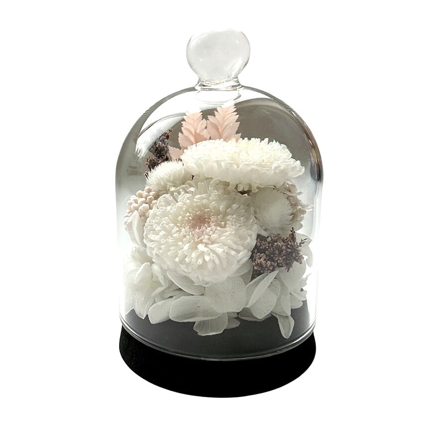 Preserved Arrangement Merveille Blanc