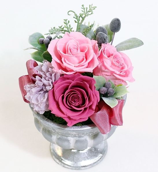 Preserved Arrange Purte