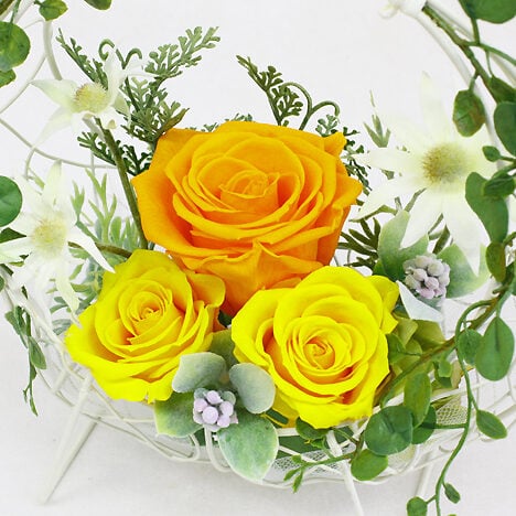 Preserved Arrange Soleil