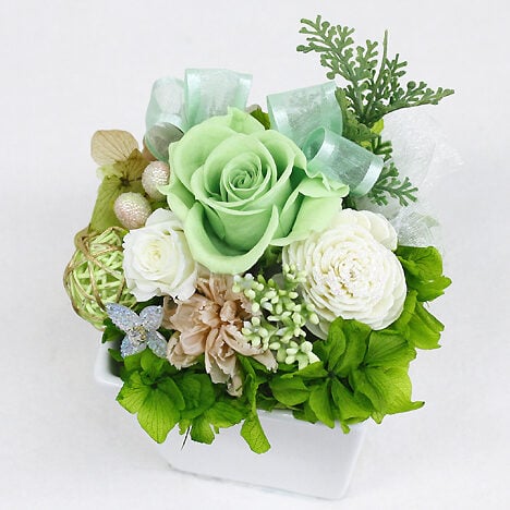 Preserved Arrange Grand Vert