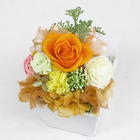 Preserved Arrange Grand Orange