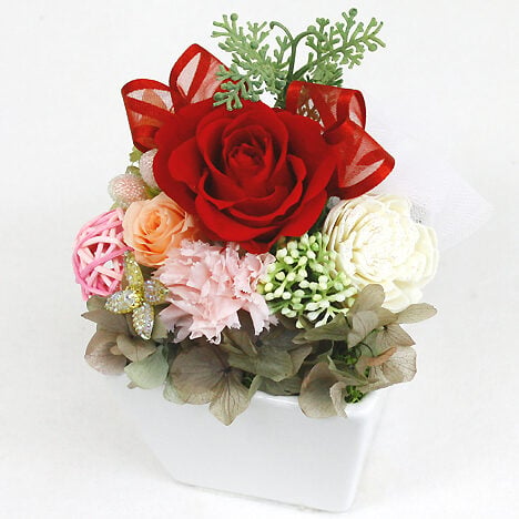 Preserved Arrange Grand Rouge