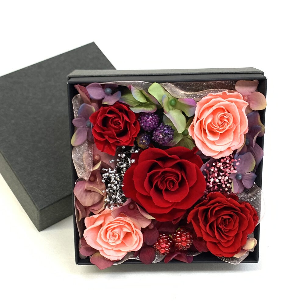 Preserved Arrange Diamante
