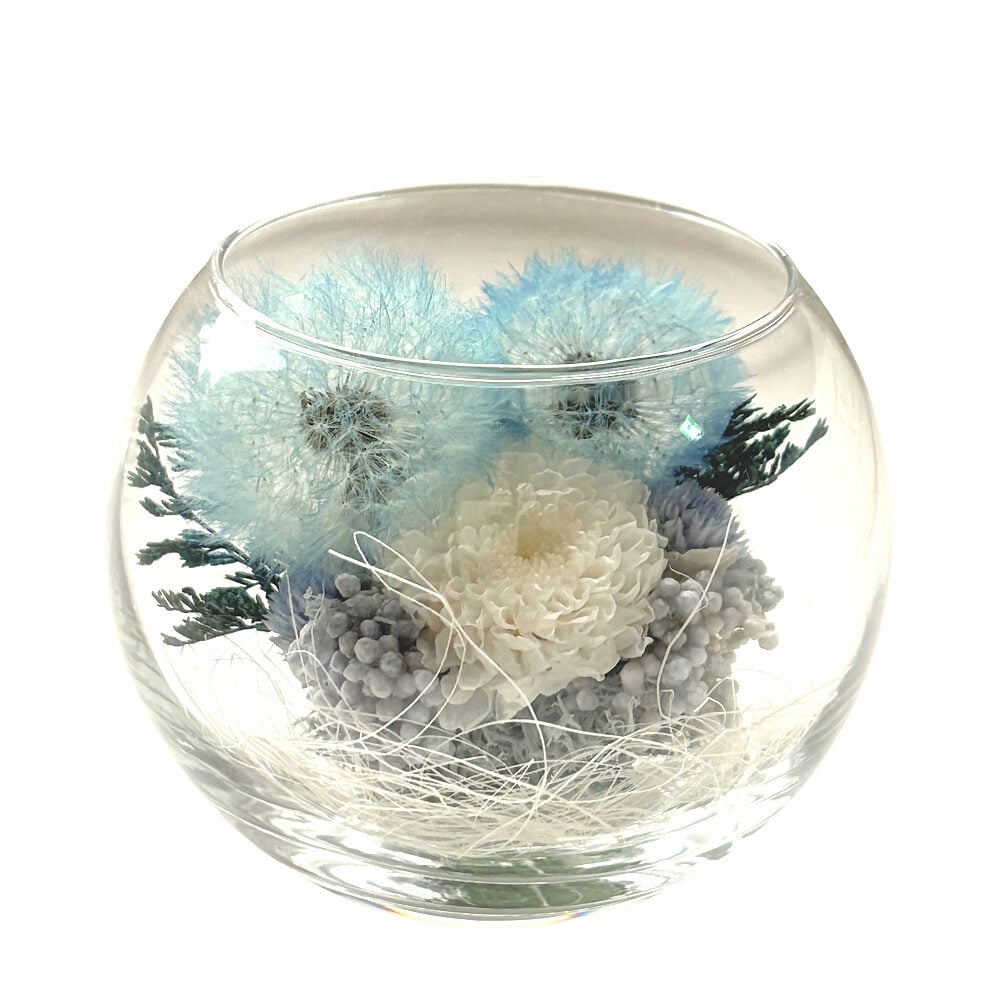 Preserved Flower Arrangement - Grace Blue
