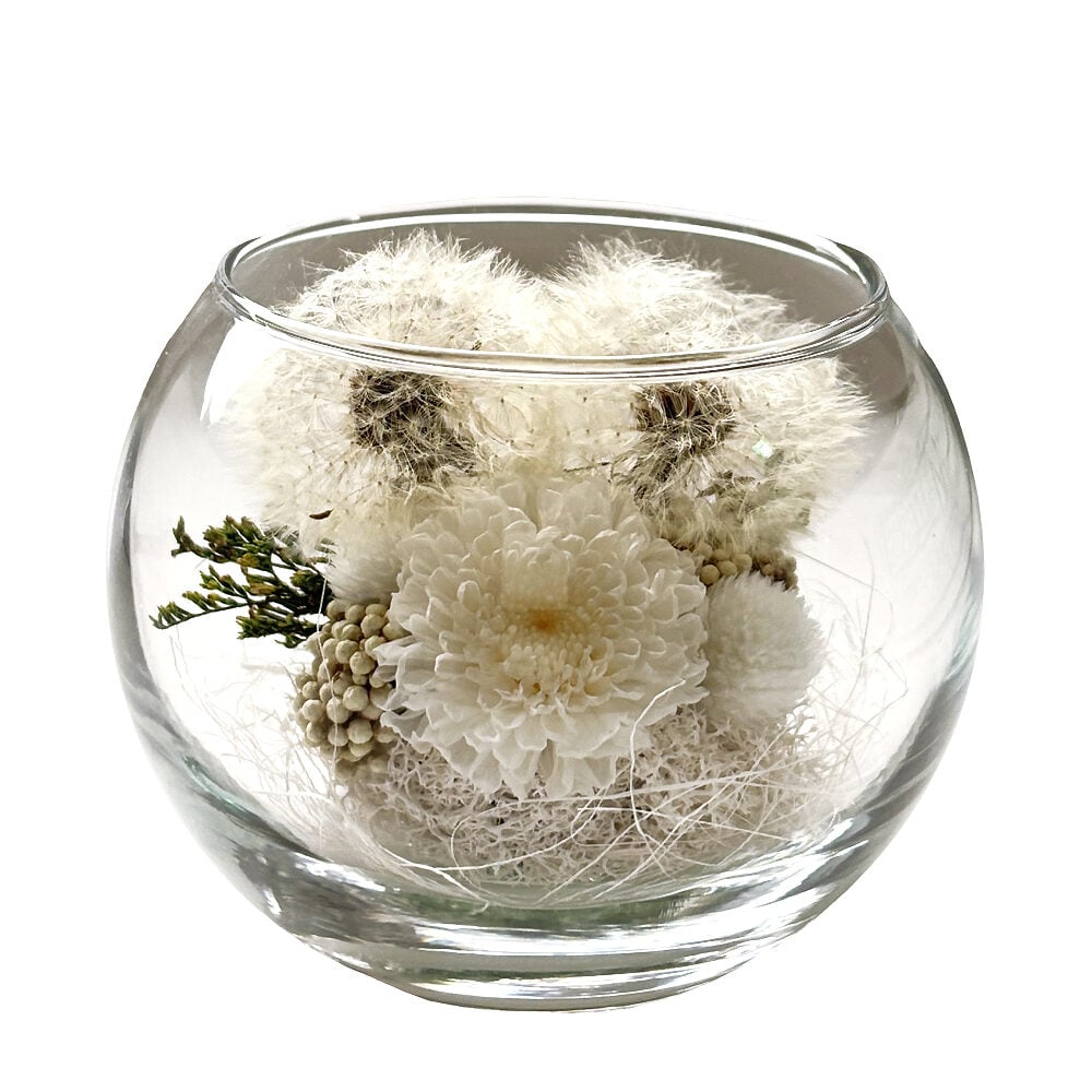 Preserved Flower Arrangement - Grace Natural