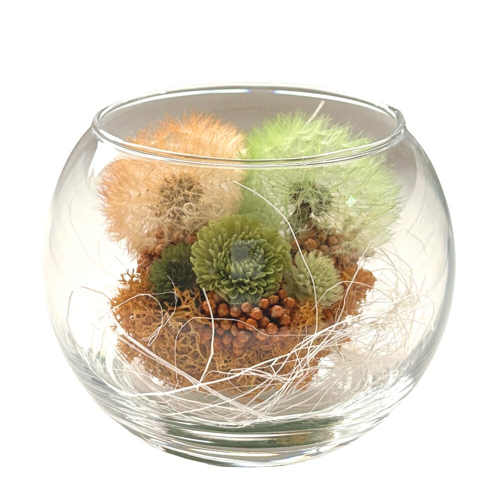 Preserved Flower Arrangement - Grace Green