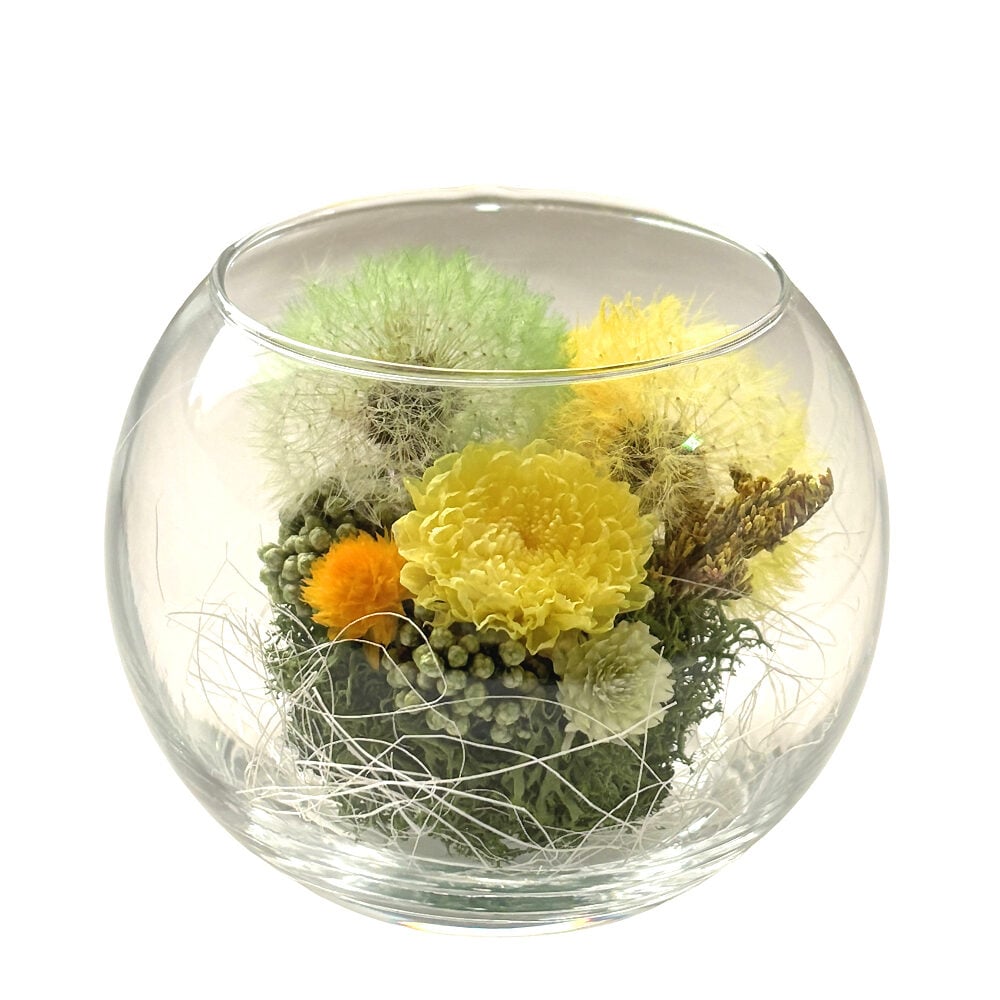 Preserved Flower Arrangement - Grace Yellow Green