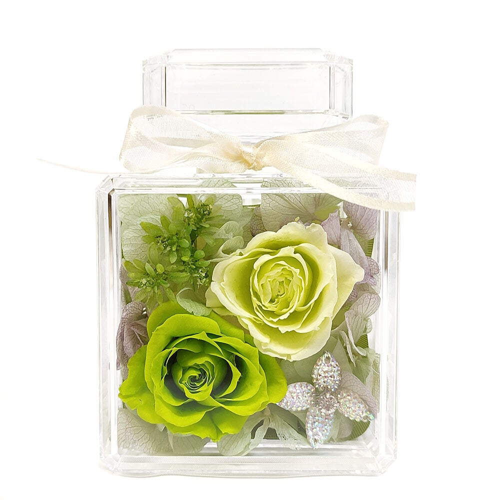 Preserved Arranged Perfume Veil