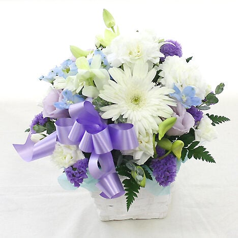 Offering arrangement for pets Petit