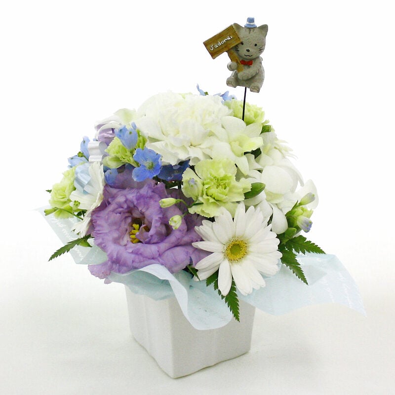 Pet-only offering arrangement Petit with cat pick