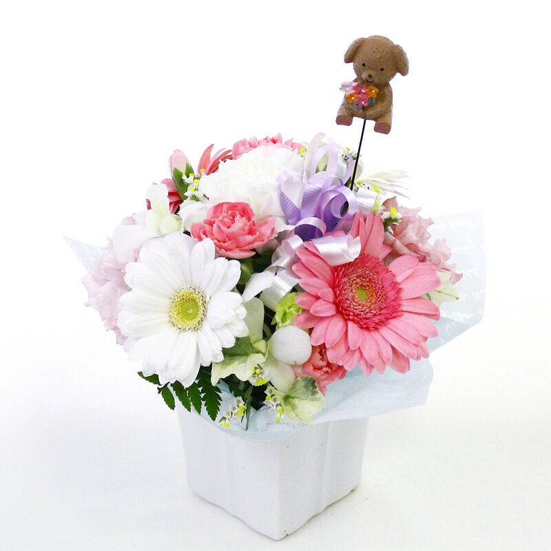 Pet-only offering arrangement Petit with dog pick