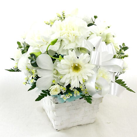 Offering arrangement for pets Petit