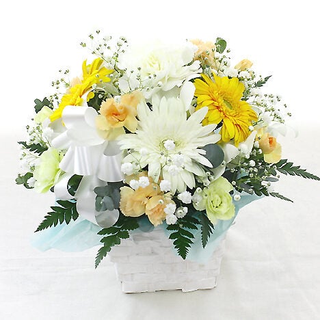 Offering arrangement for pets Petit