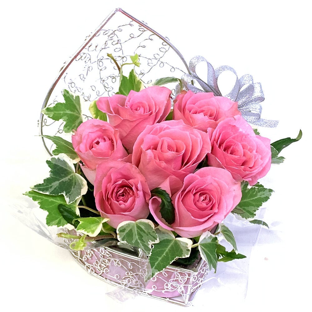rose heart orange