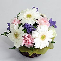 Seasonal Assorted Arrangement Vanilla