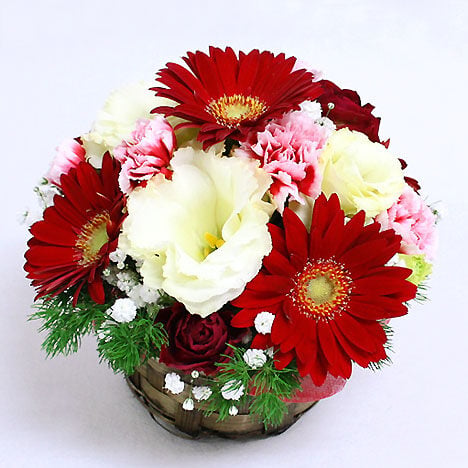 Seasonal Assorted Arrangement Red