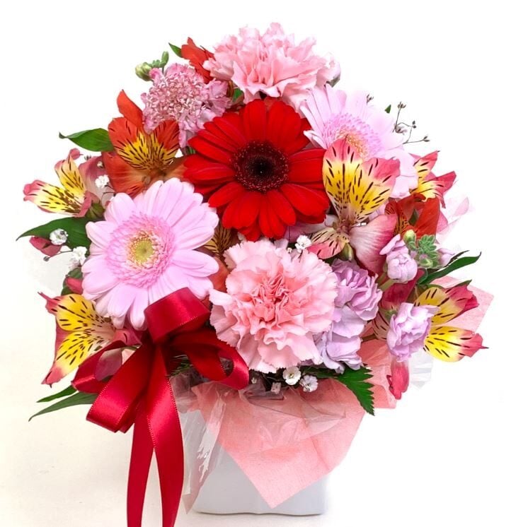 Omakase Arrangement Cutie April Birth Flower