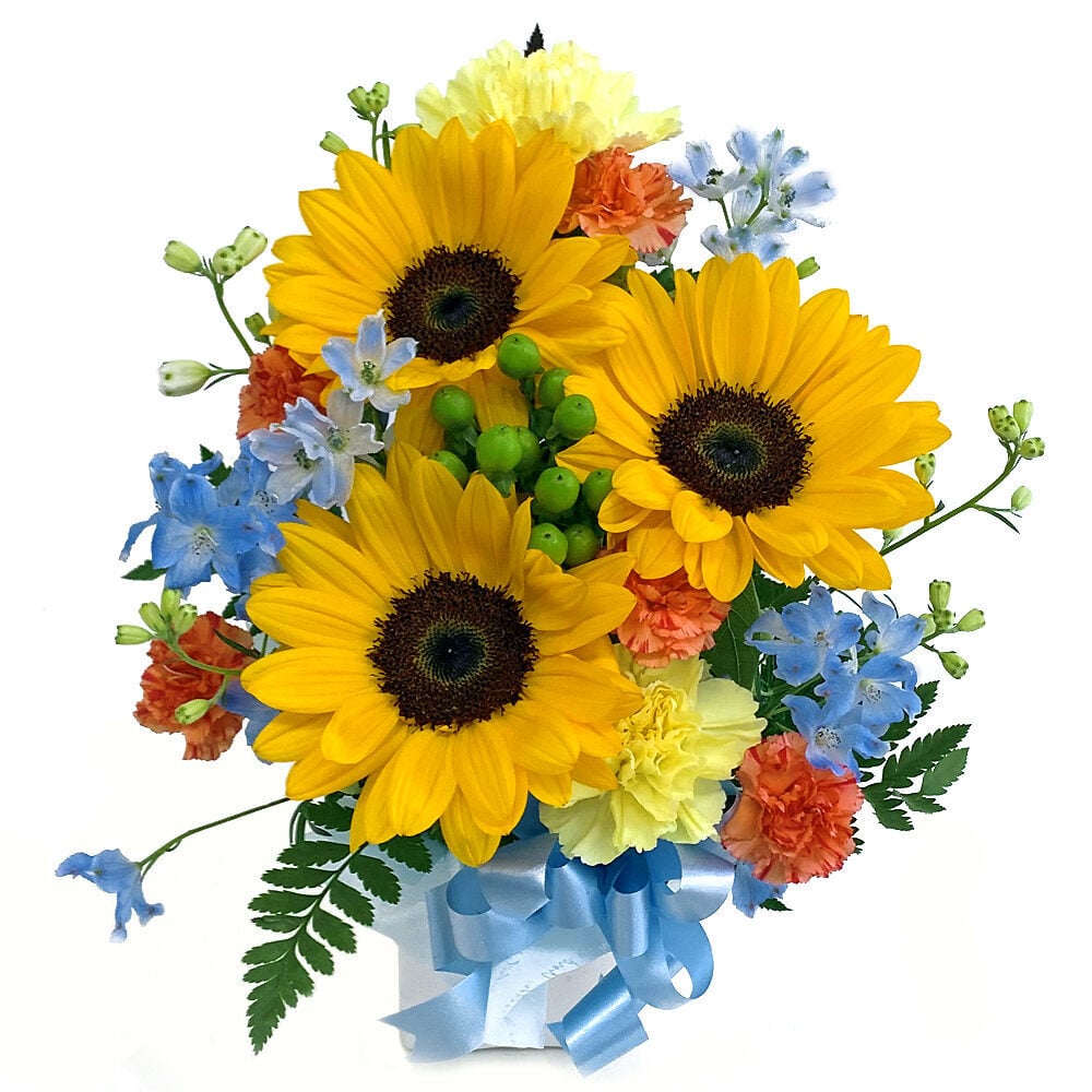 Entrusted Arrangement / Cutie