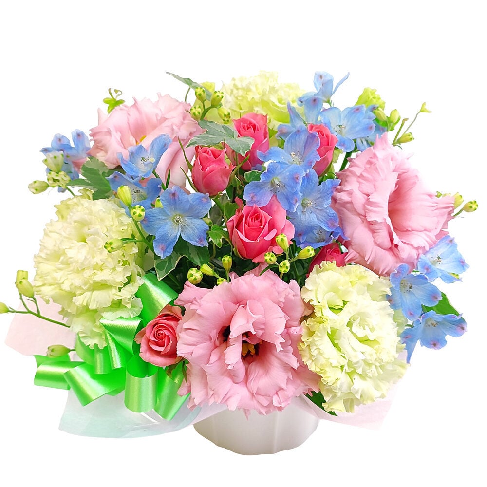 June Arrange Deluxe