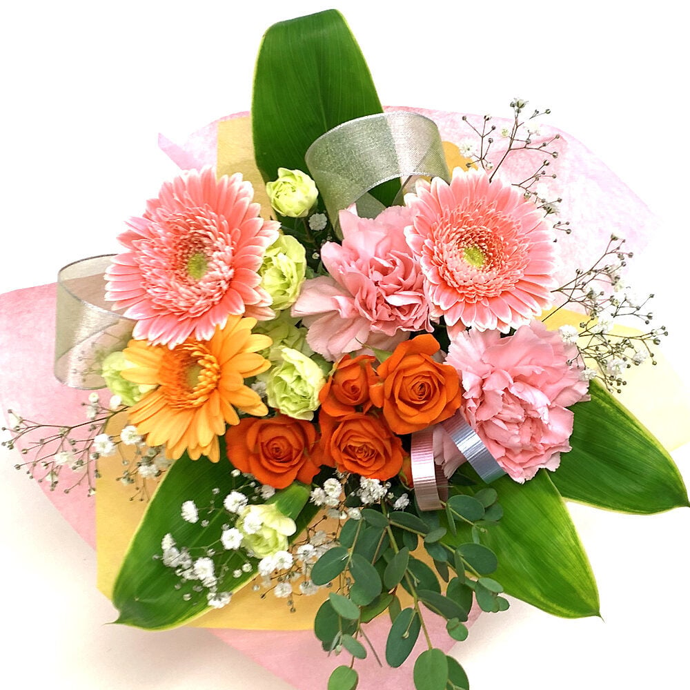 Birth flower of December