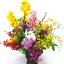 Gorgeous orchid arrangement luxury