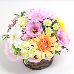 Seasonal Assorted Arrangement Mix
