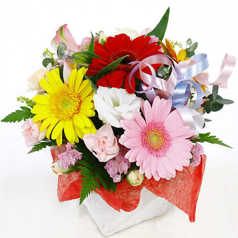 Omakase Arrangement・Lovely・Round Mix