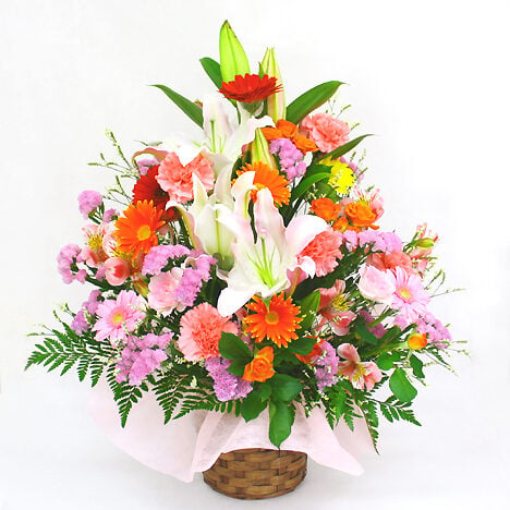 Omakase Arrangement / Precious