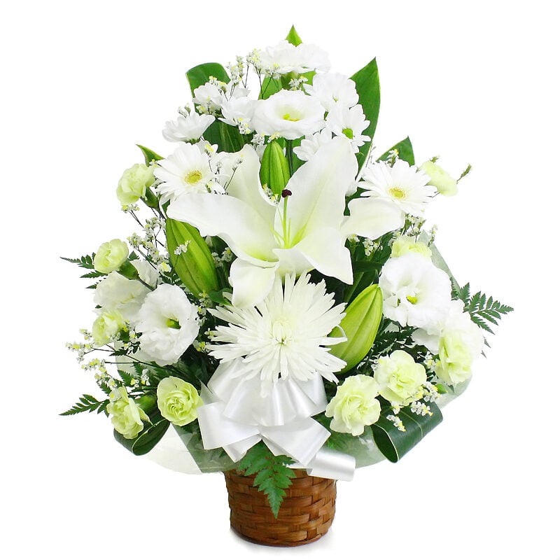Offering Arrange Deluxe Tall