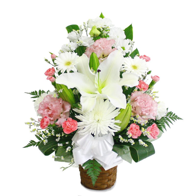 Offering Arrange Deluxe Tall