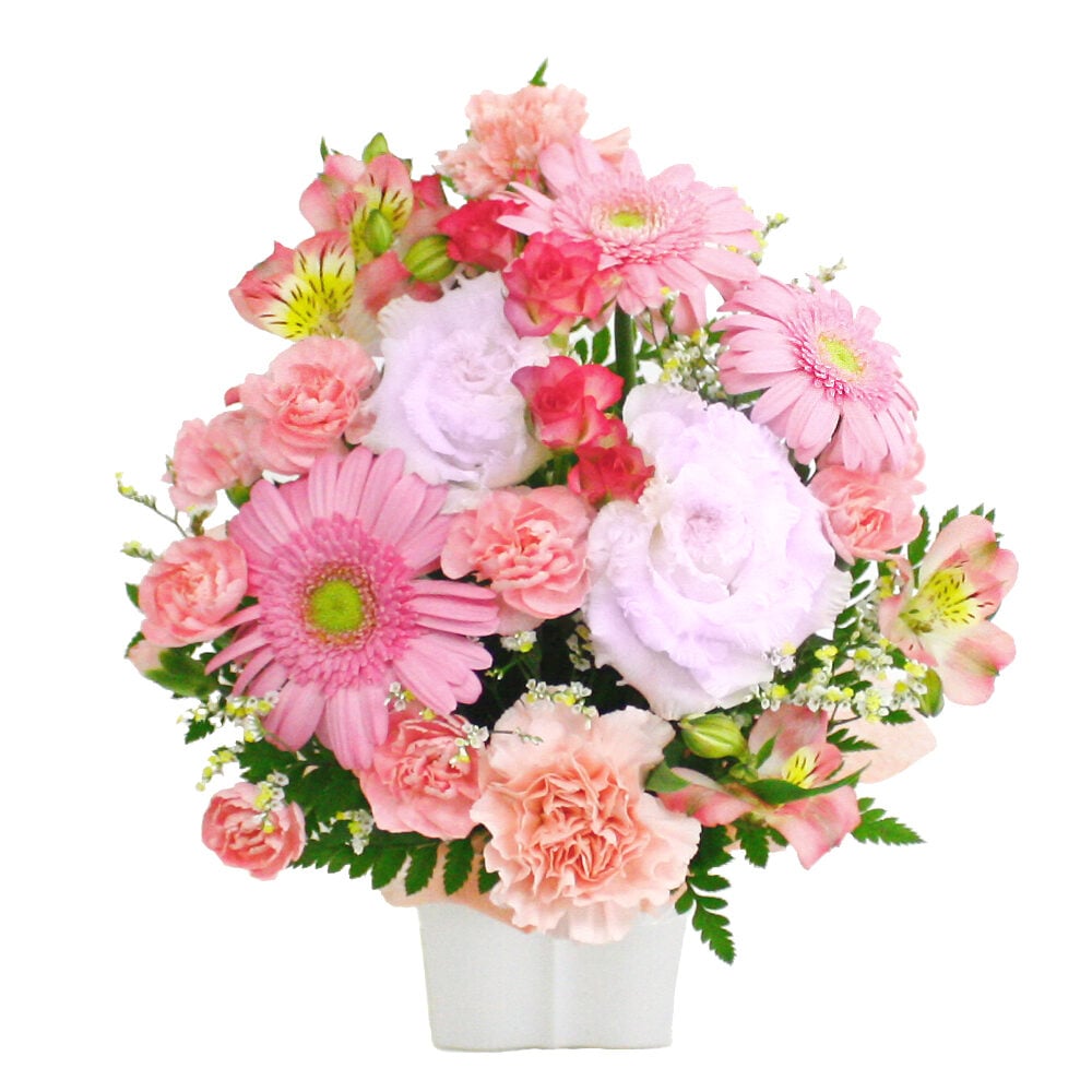 Omakase Arrangement / Cutie Pink